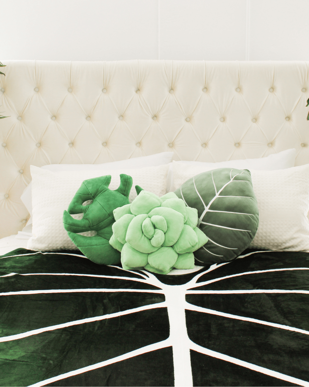 Big Green Bundle - Green Philosophy Co.