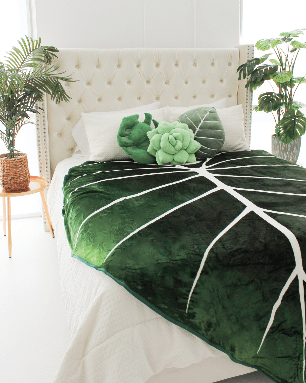 Big Green Bundle - Green Philosophy Co.