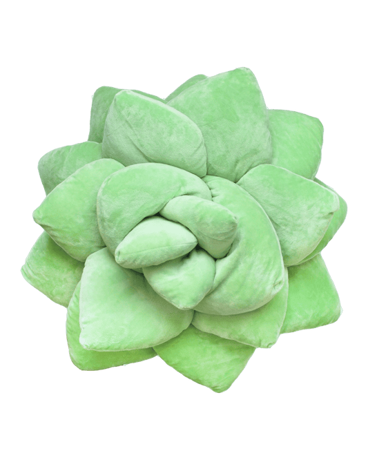 Big Pop Succulent® - Sage Green - Green Philosophy Co.