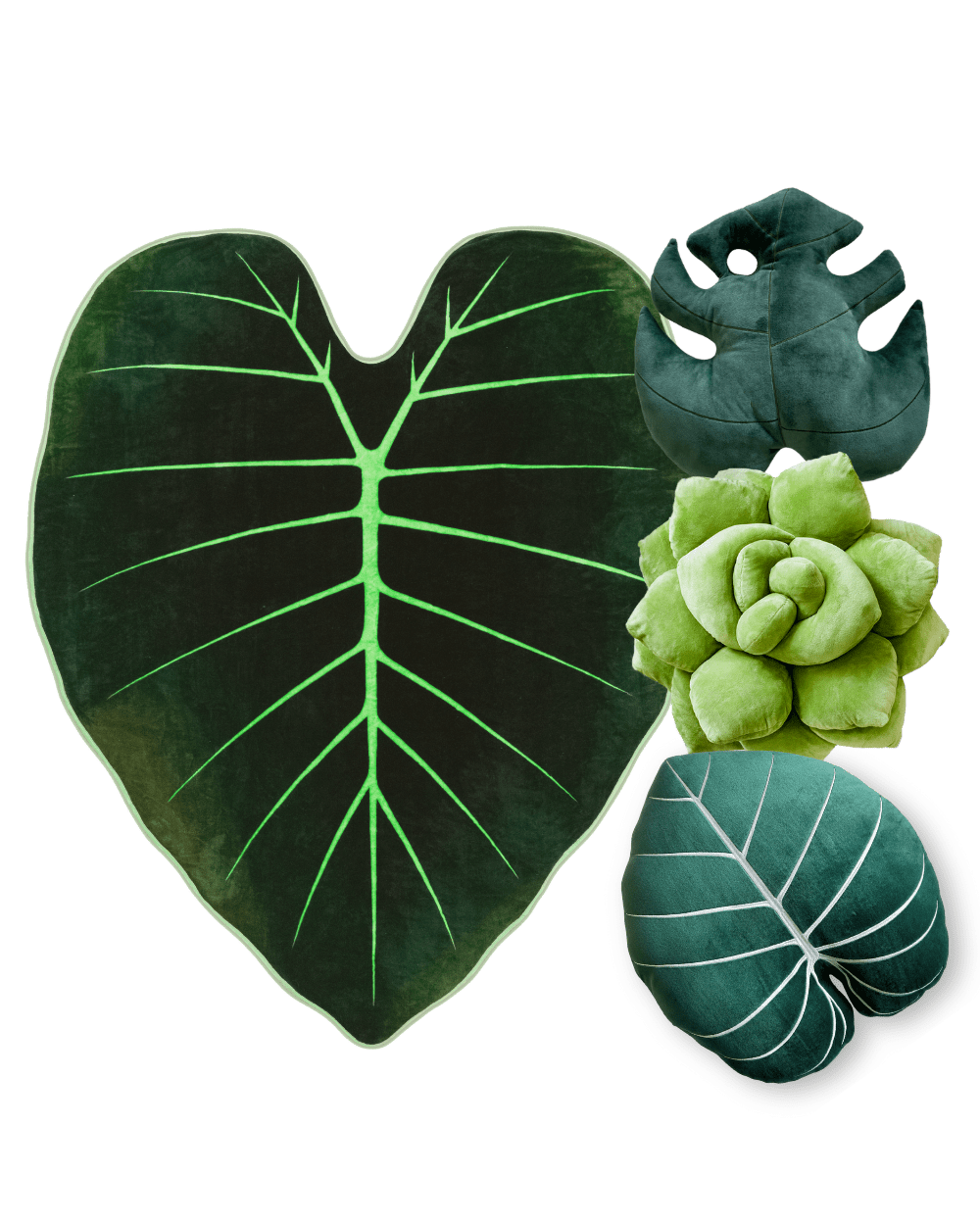Dark Forest Bundle - Green Philosophy Co.