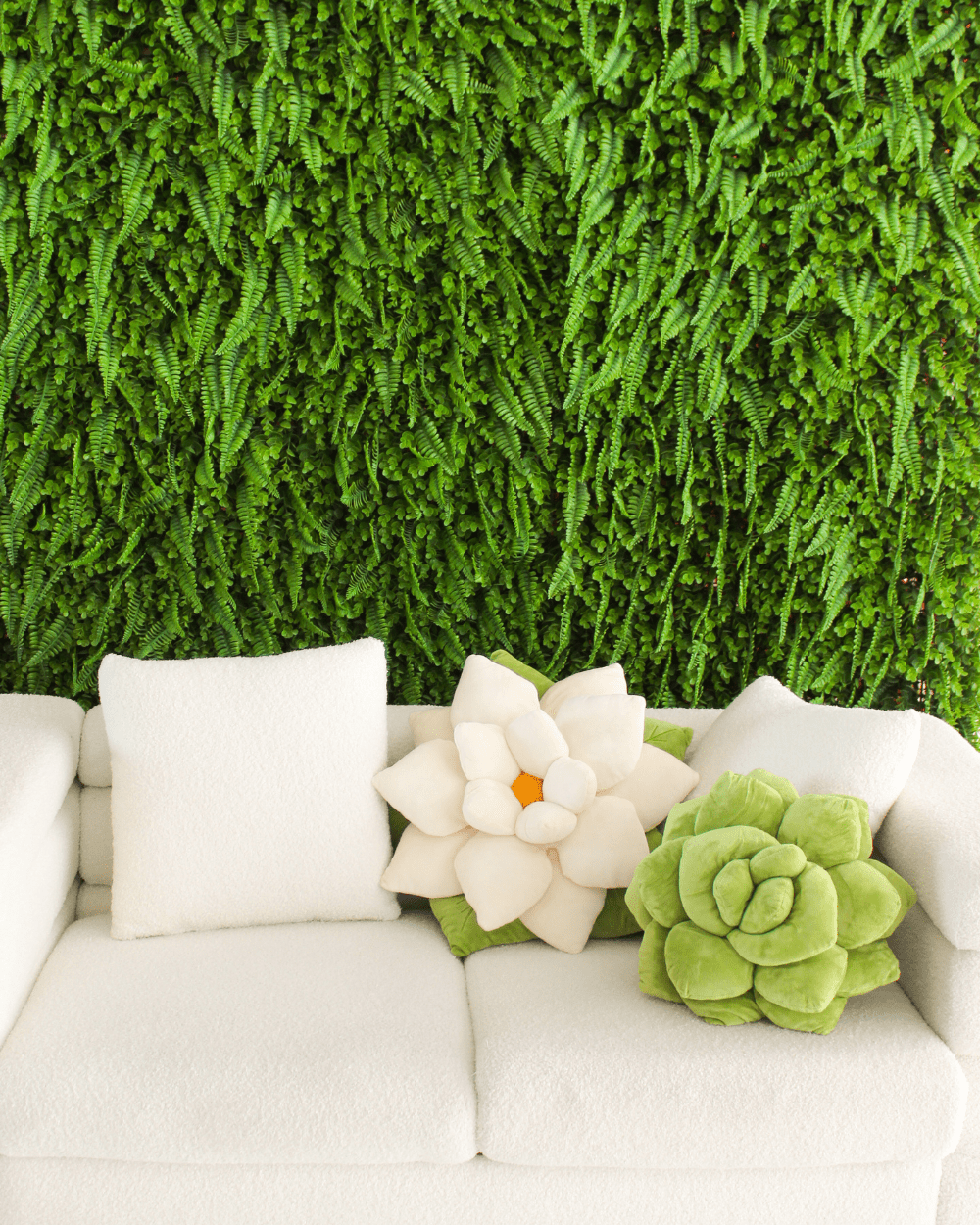 Festive Garden Bundle - Green Philosophy Co.