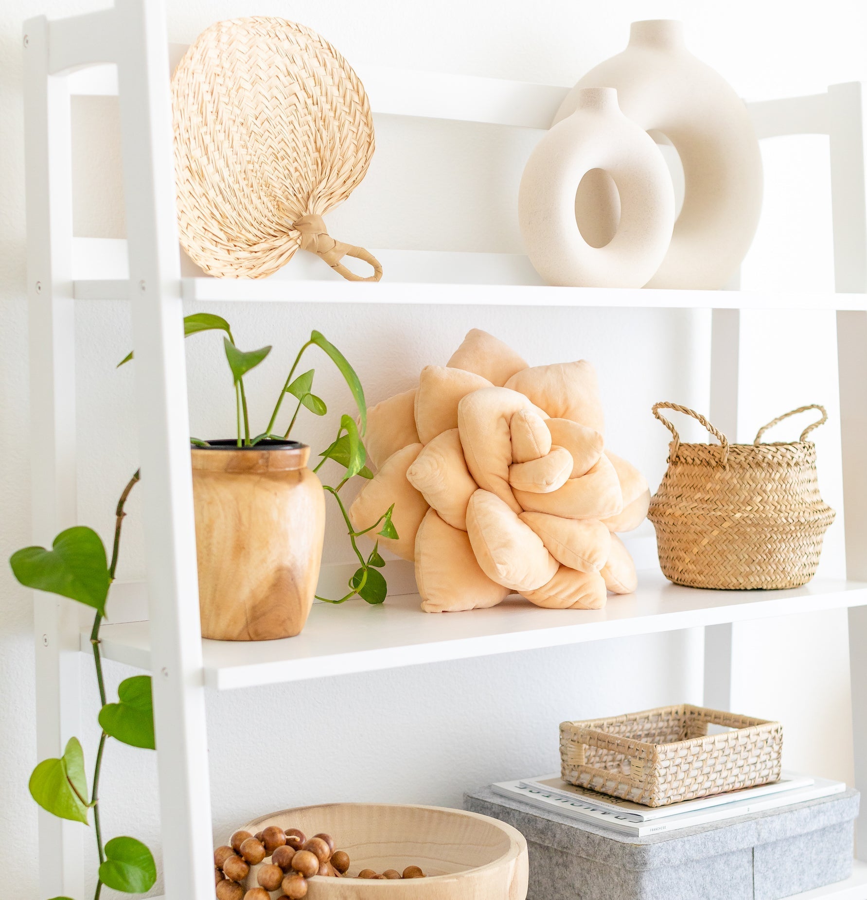 Lil' Pop Succulent® - Blush Peach - Green Philosophy Co.