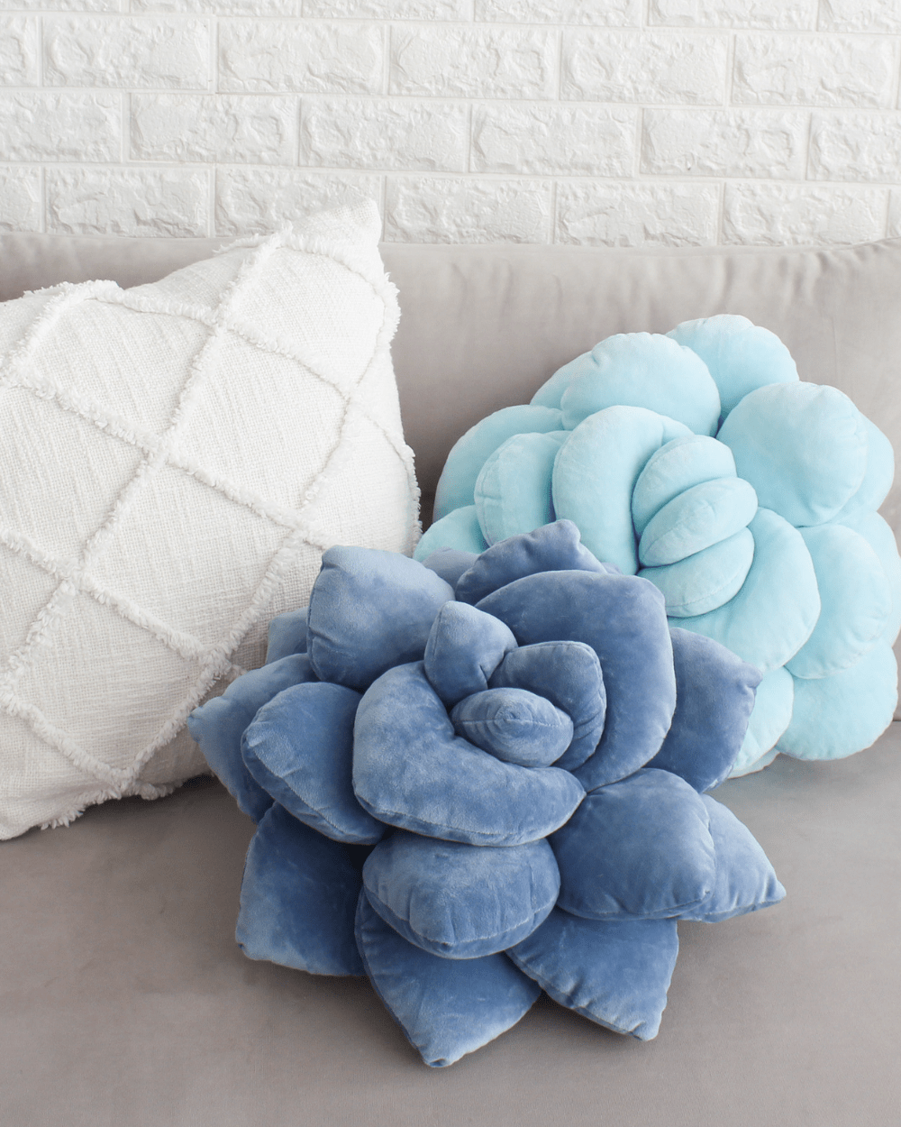Lil' Pop Succulent® - Smokey Blue - Green Philosophy Co.