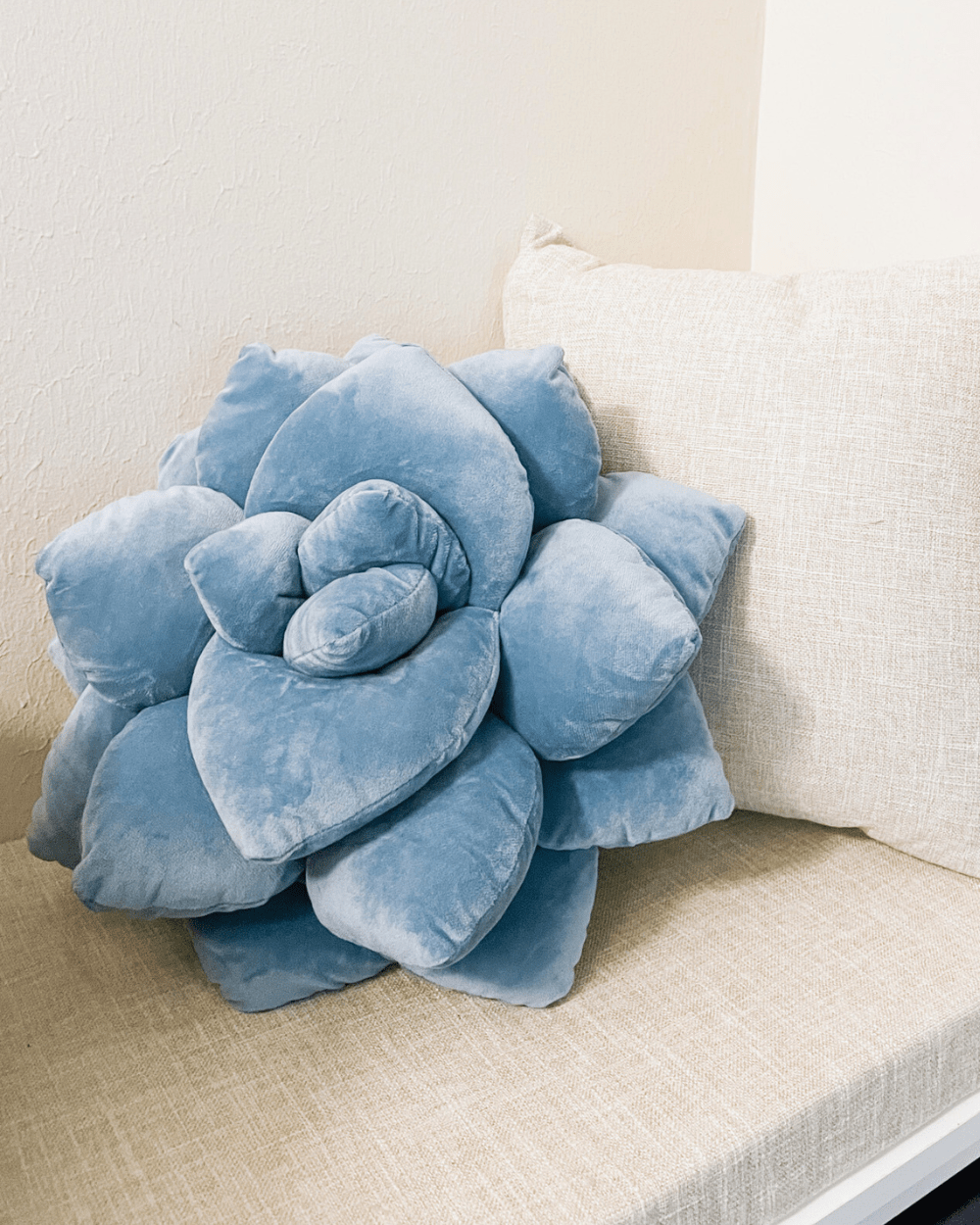 Lil' Pop Succulent® - Smokey Blue - Green Philosophy Co.