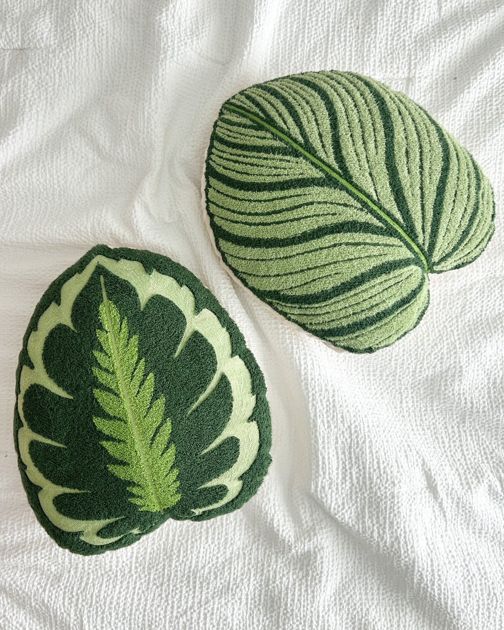 Tufted Calathea Orbifolia Leaf Pillow - Green Philosophy Co.