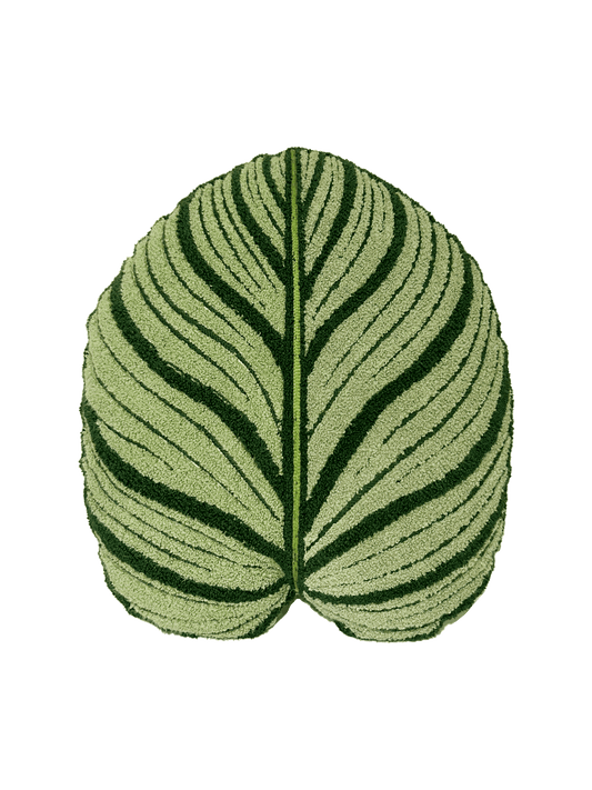 Tufted Calathea Orbifolia Leaf Pillow - Green Philosophy Co.