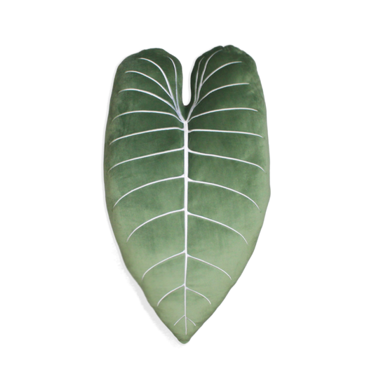 Philodendron Melanochrysum - Moody Green
