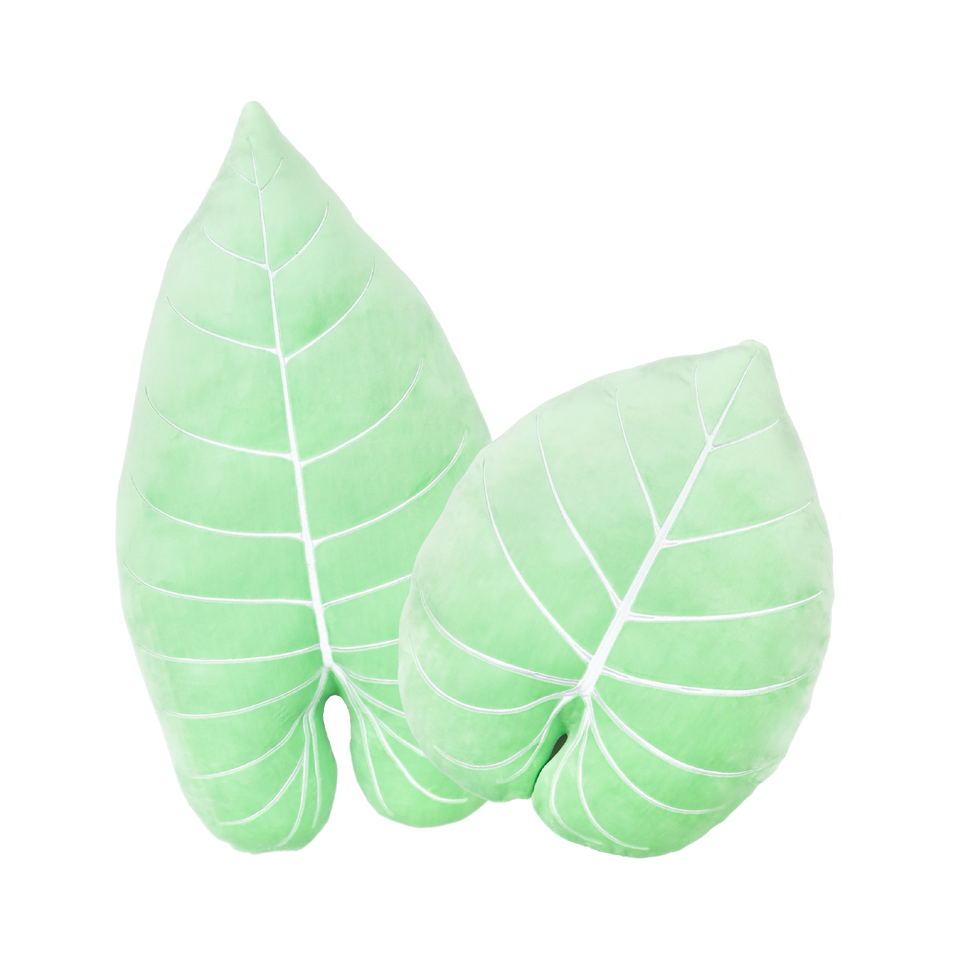 Serene Green Philodendron Leaf Set
