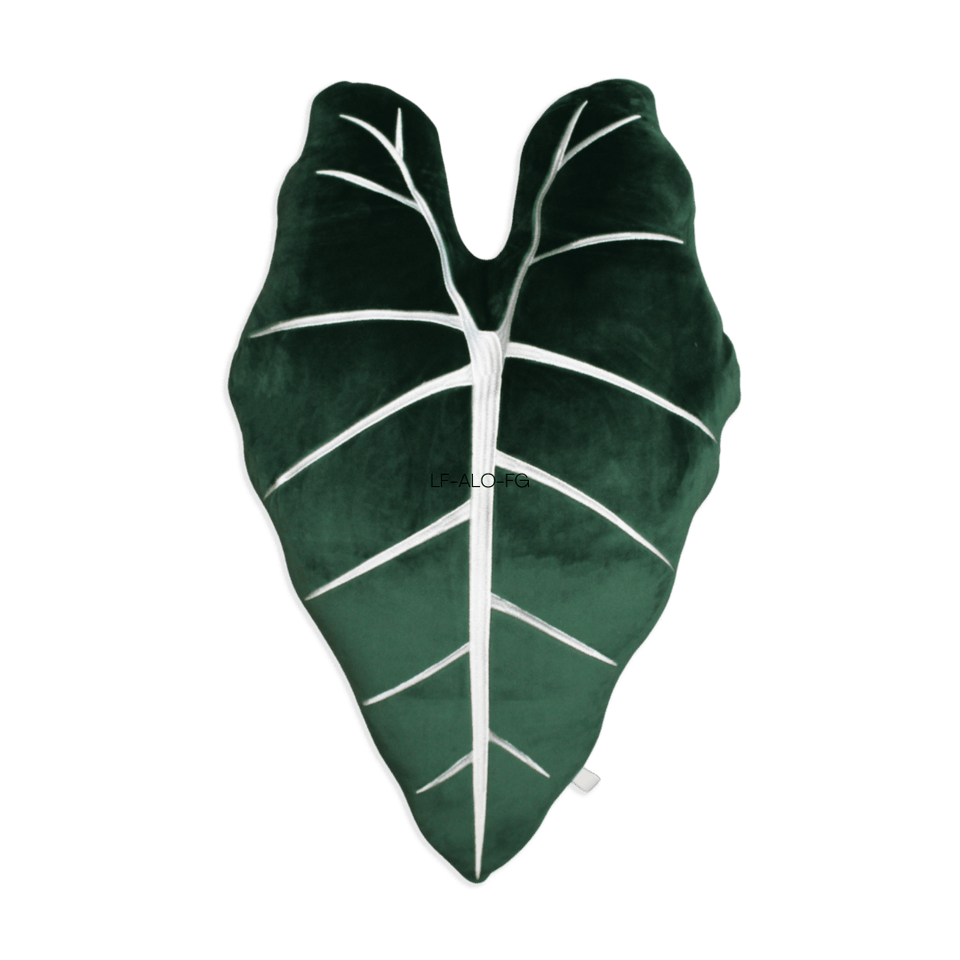 Alocasia Frydek - Forest Green - Green Philosophy Co.