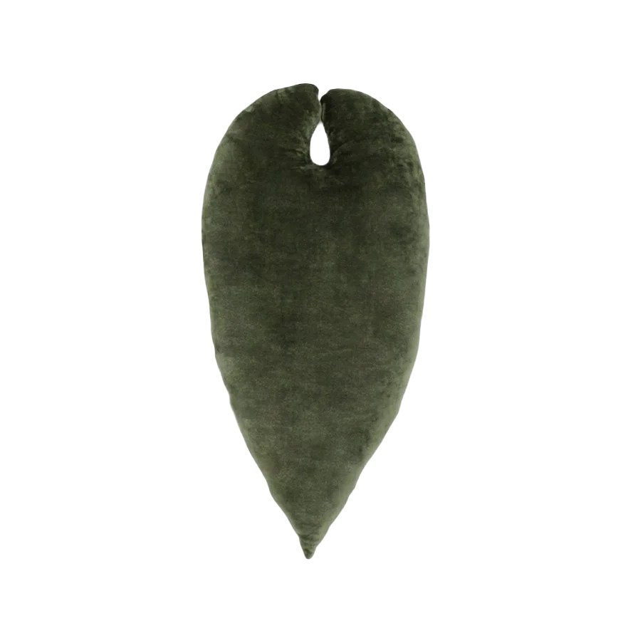 Anthurium Warocqueanum - Khaki - Green Philosophy Co.