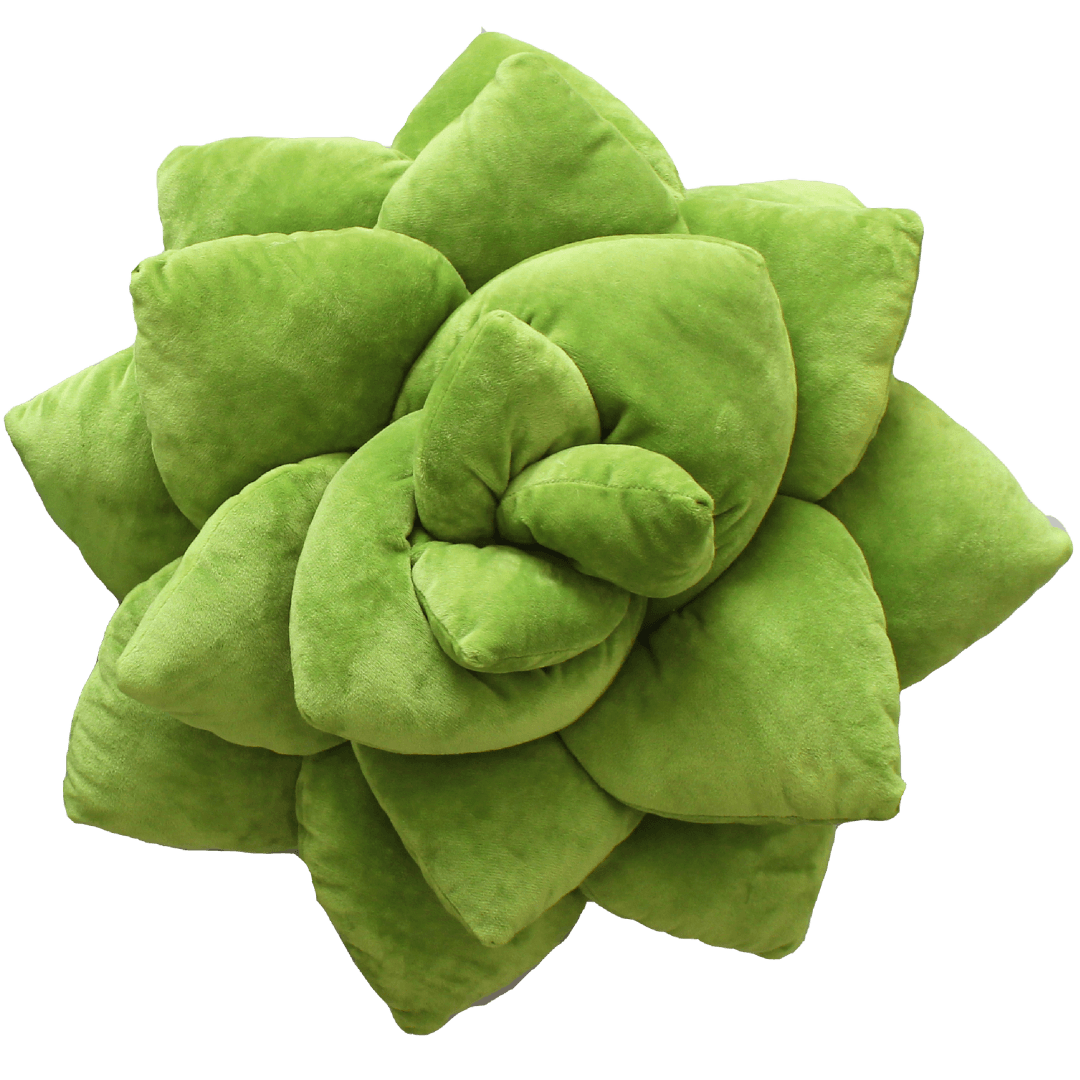 Lil' + Big Pop Succulent Bundle– Green Philosophy Co.