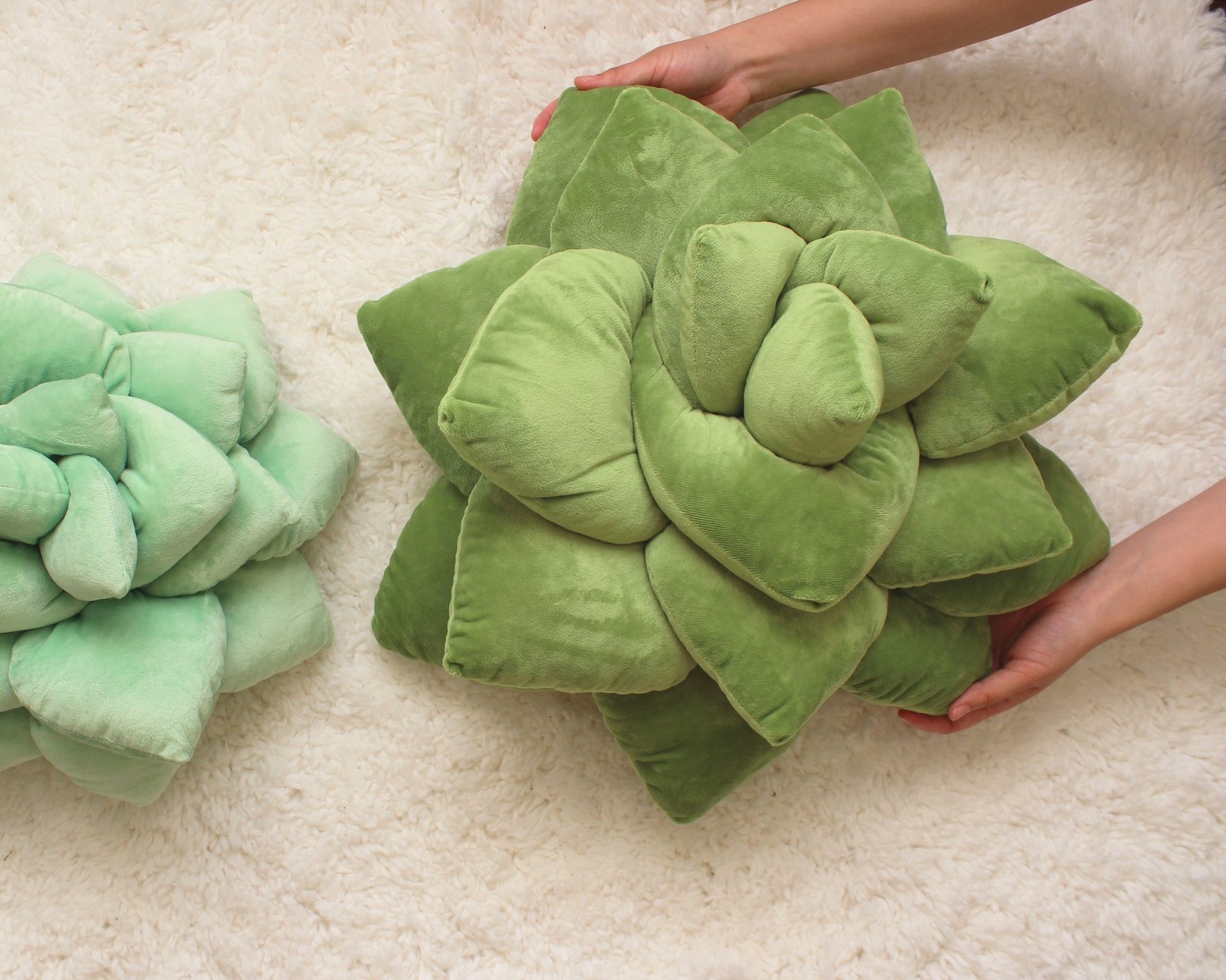 Big Pop - Succulent Plush Pillow - Olive Green - Green Philosophy Co.