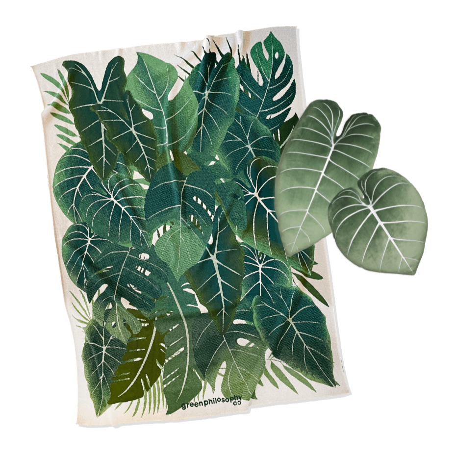 Botanical Blanket & Philodendron Pillows Set - Green Philosophy Co.