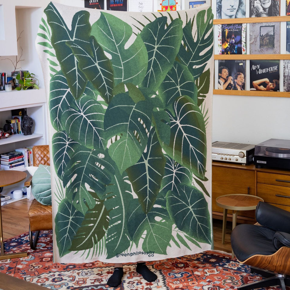 Botanical Blanket & Philodendron Pillows Set - Green Philosophy Co.