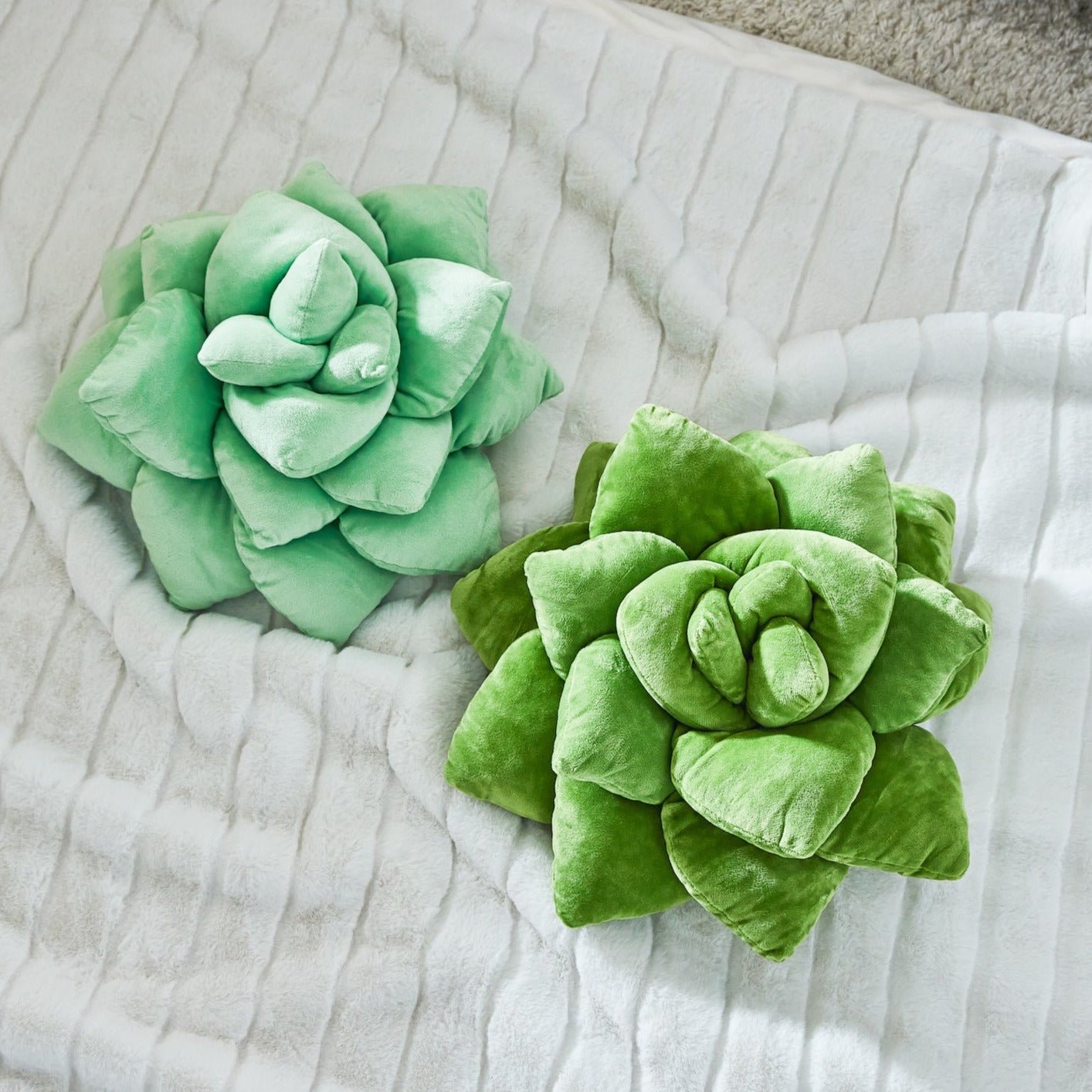 Lil' Pop - Green Succulent Pillows Set - Green Philosophy Co.