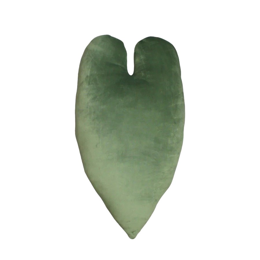 Philodendron Melanochrysum - Moody Green - Green Philosophy Co.