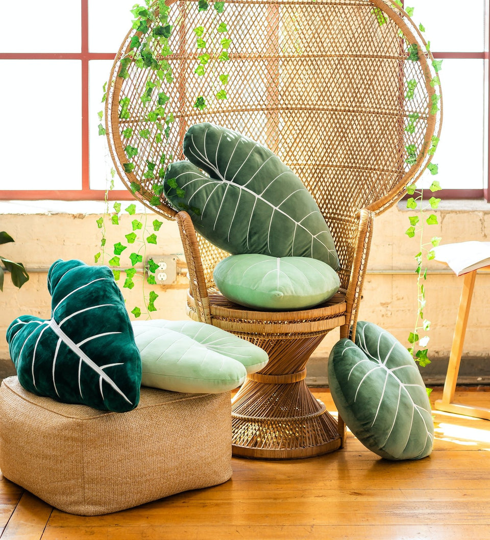 Philodendron Melanochrysum Plush Pillow - Moody Green - Green Philosophy Co.