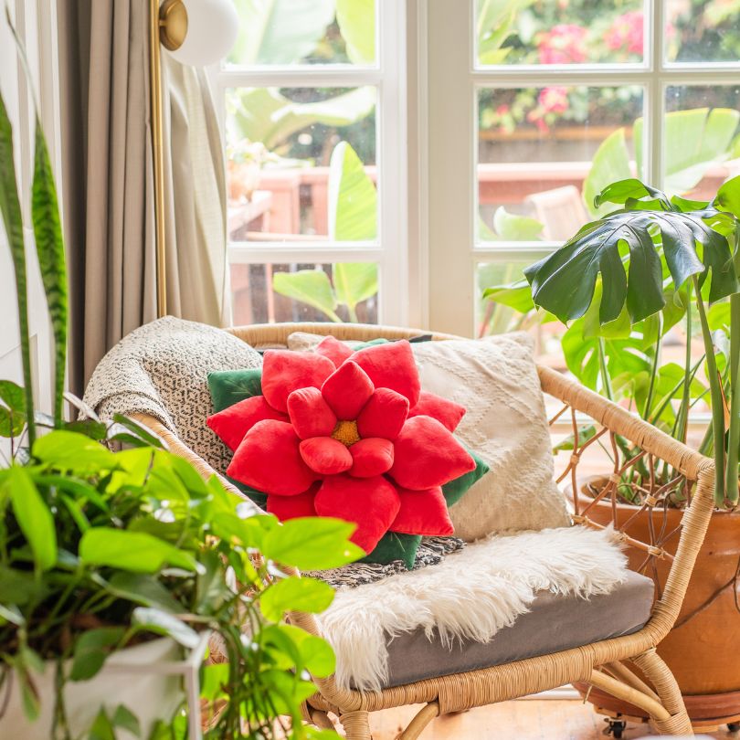 Poinsettia Pillow - Christmas Red - Green Philosophy Co.