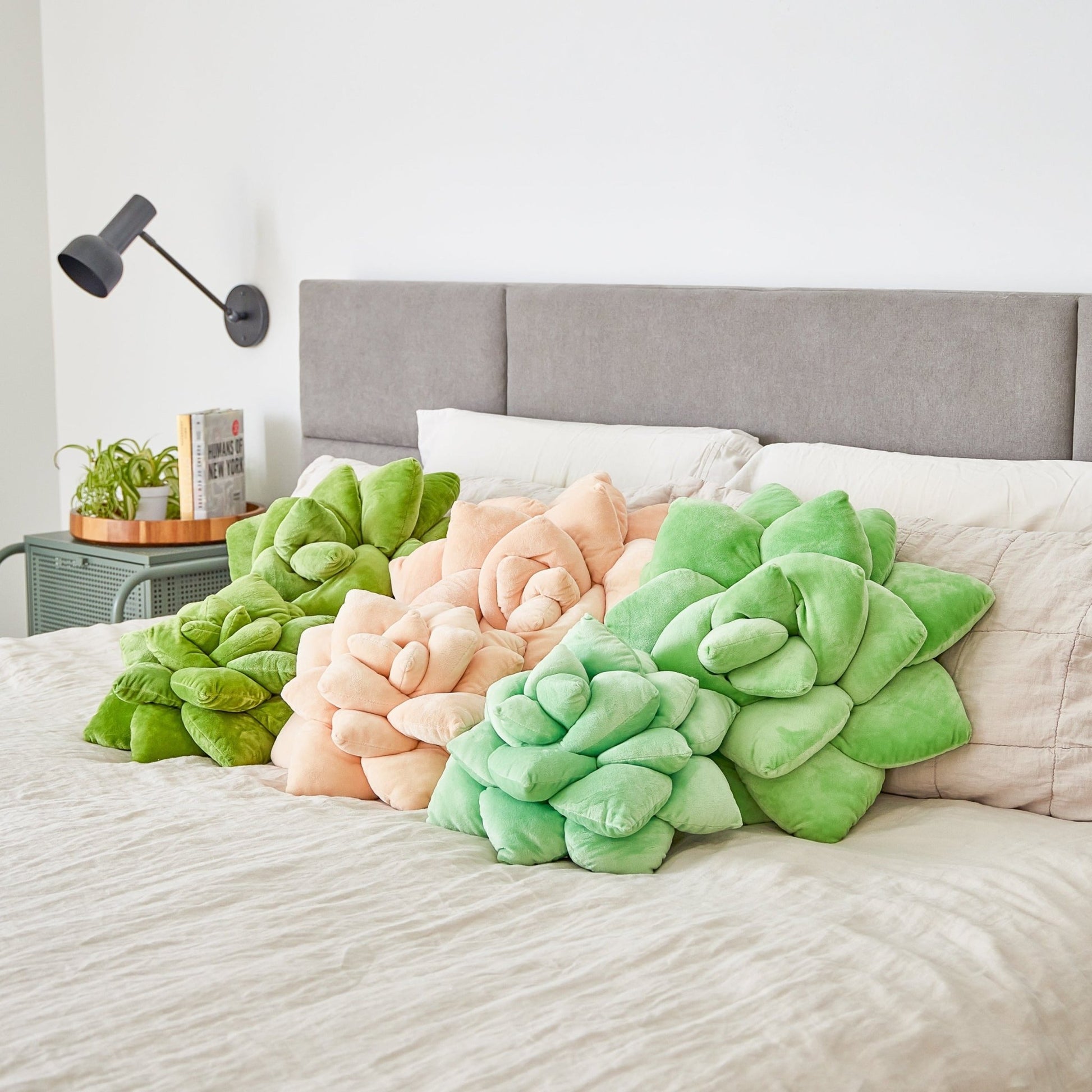 Succulent - Lil' Pop - Plush Pillows Bundle - Green Philosophy Co.