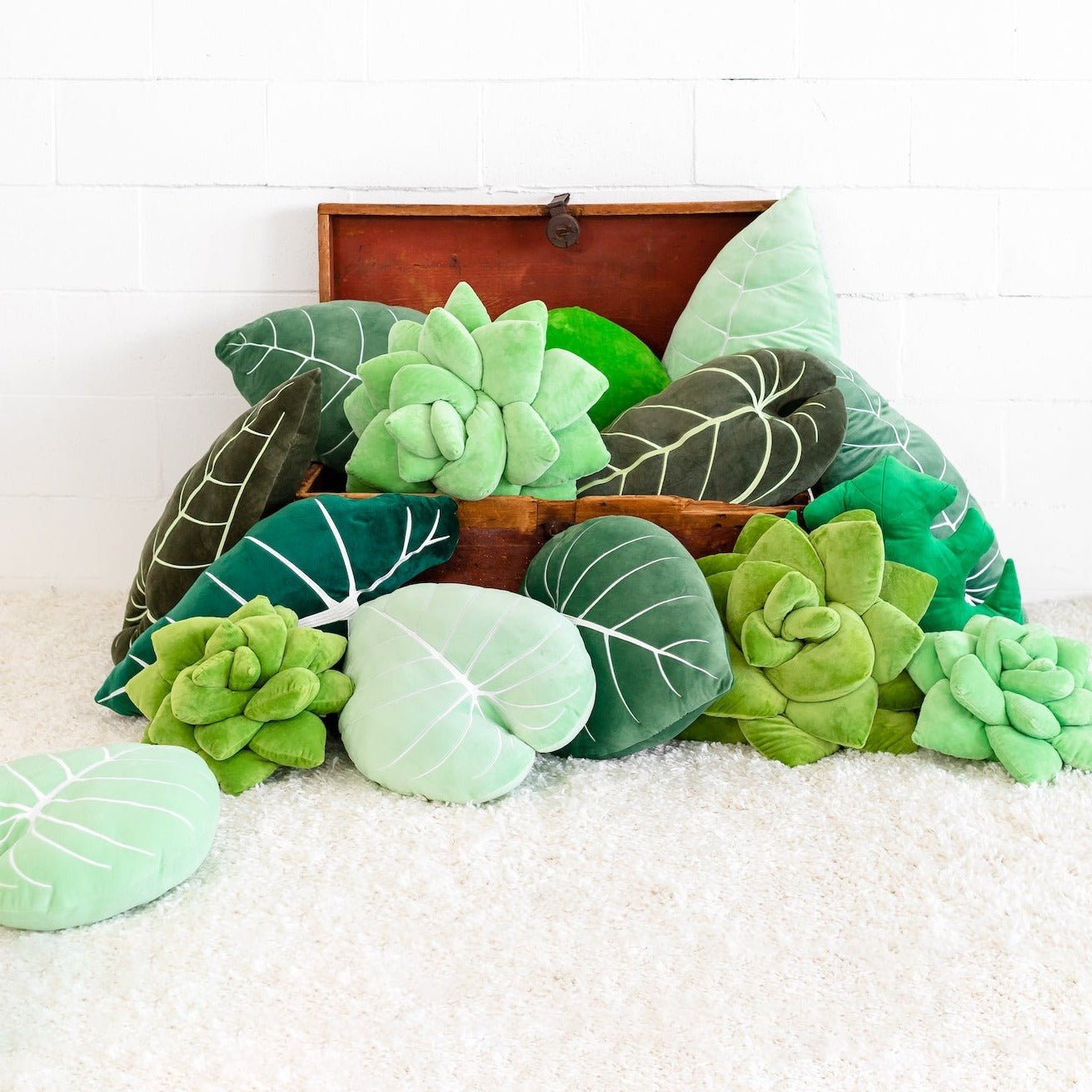 Succulent - Lil' Pop - Plush Pillows Bundle - Green Philosophy Co.