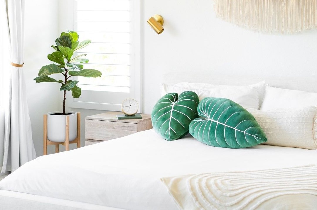 Plant Pillows x Bedrooms - Green Philosophy Co.
