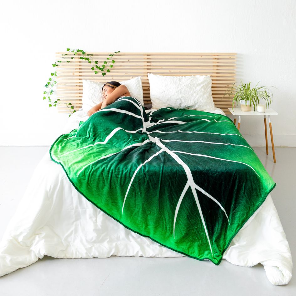 Blankets and Throws - Green Philosophy Co.