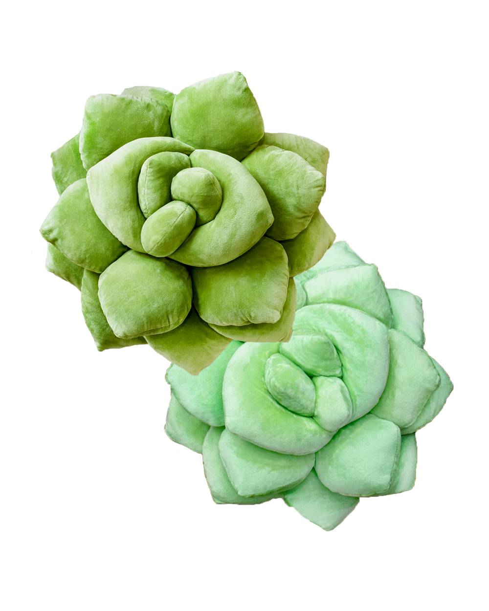 Lil' Pop Green Succulent® Pillows Set