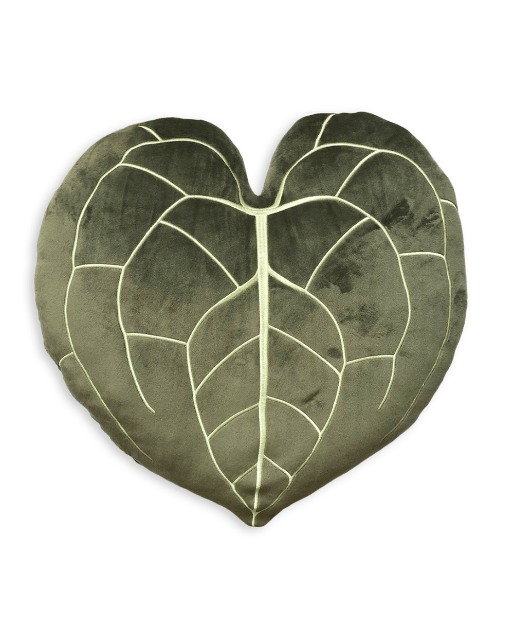 Anthurium Clarinervium - Khaki - Green Philosophy Co.