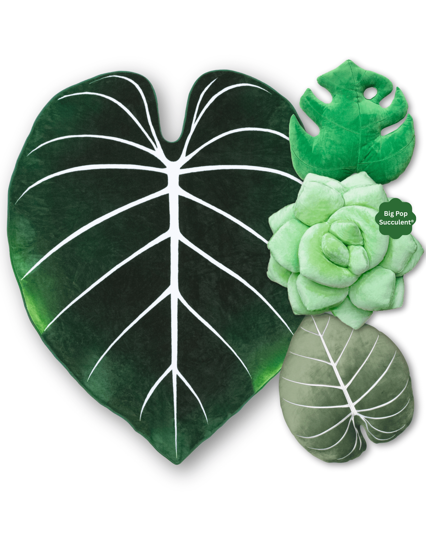 Big Green Bundle - Green Philosophy Co.