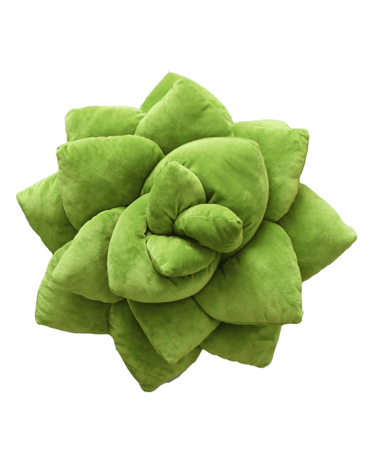 Big Pop Succulent® - Olive Green - Green Philosophy Co.