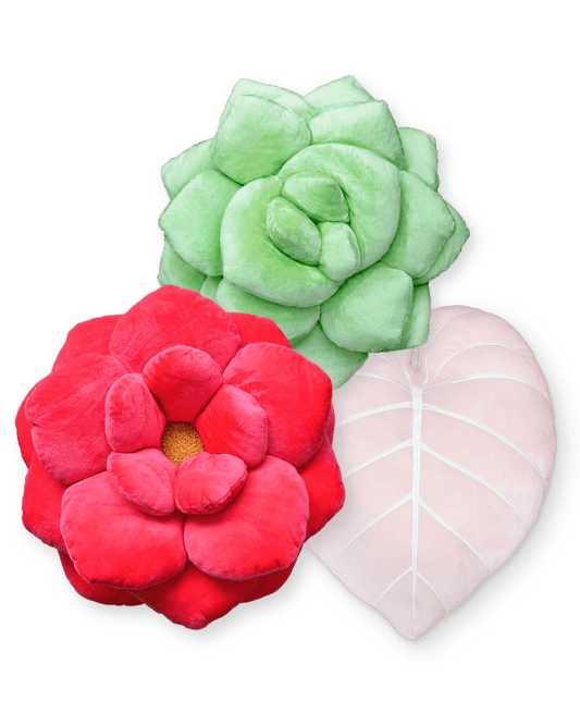 Blooming Bliss Bundle - Green Philosophy Co.