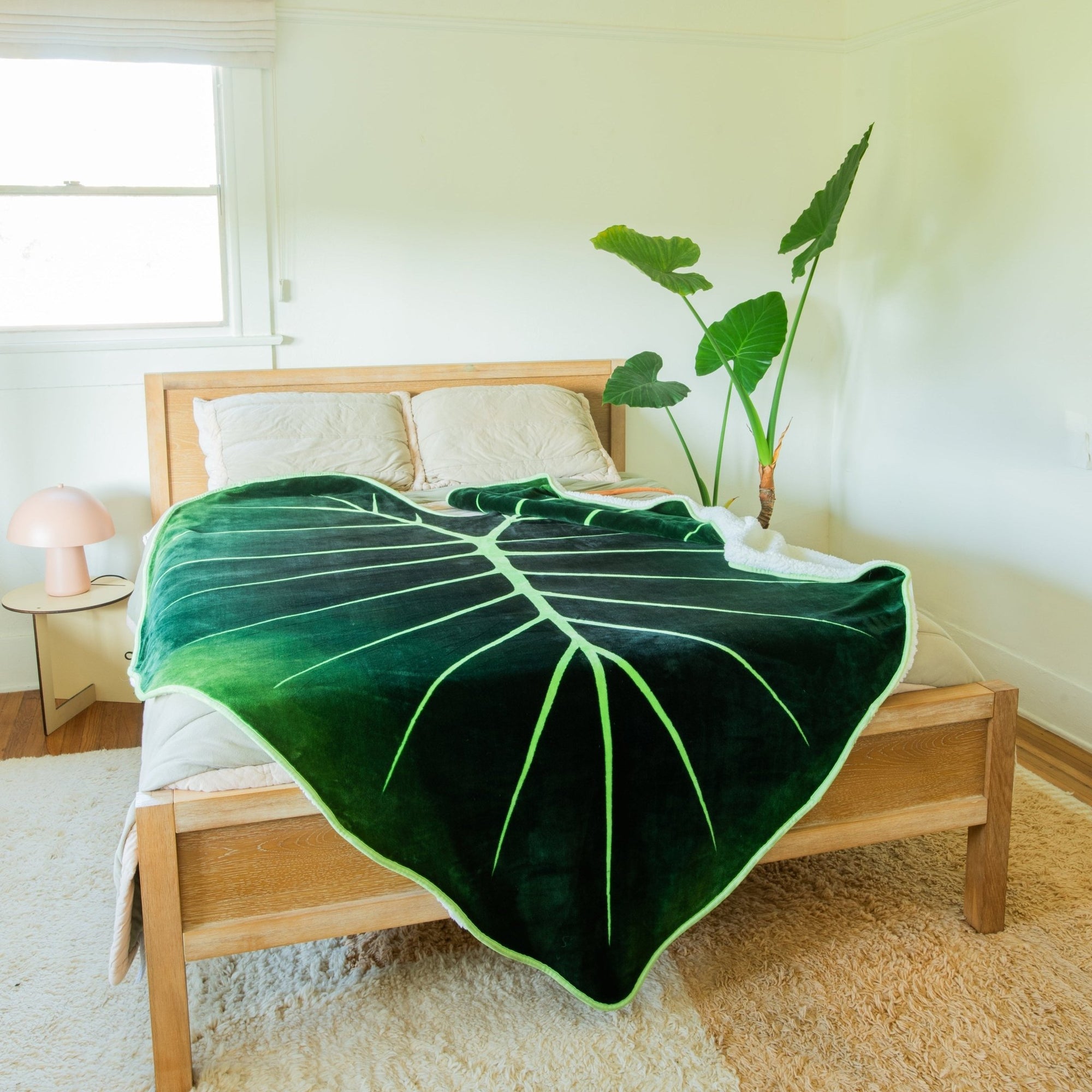 Dark Forest Bundle - Green Philosophy Co.