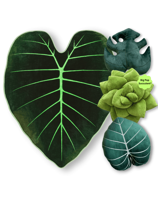 Dark Forest Bundle - Green Philosophy Co.