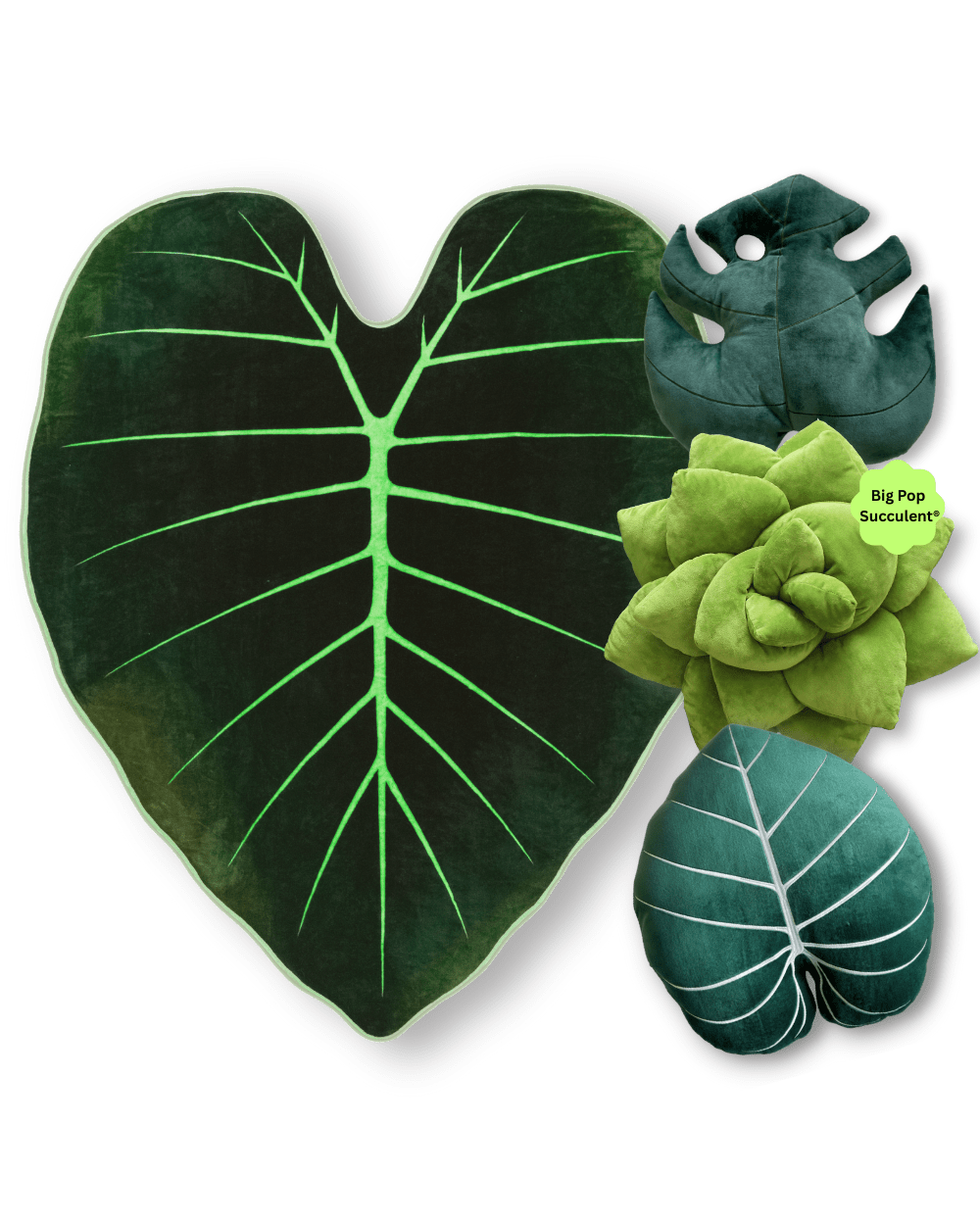 Dark Forest Bundle - Green Philosophy Co.