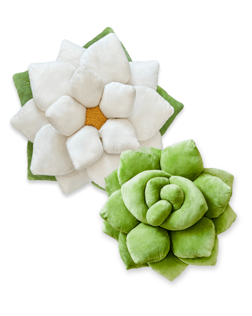 Festive Garden Bundle - Green Philosophy Co.