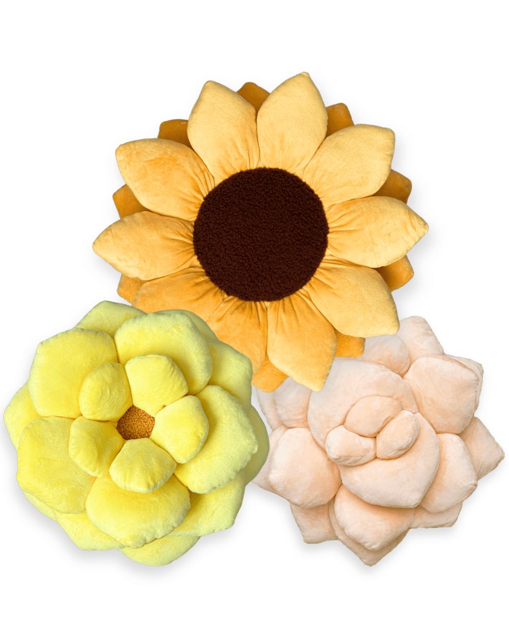 Golden Hour Bundle - Green Philosophy Co.