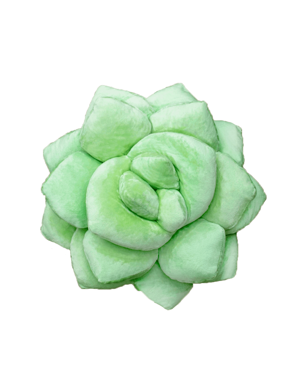 Lil' Pop Succulent® - Sage Green - Green Philosophy Co.