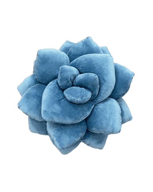 Lil' Pop Succulent® - Smokey Blue - Green Philosophy Co.