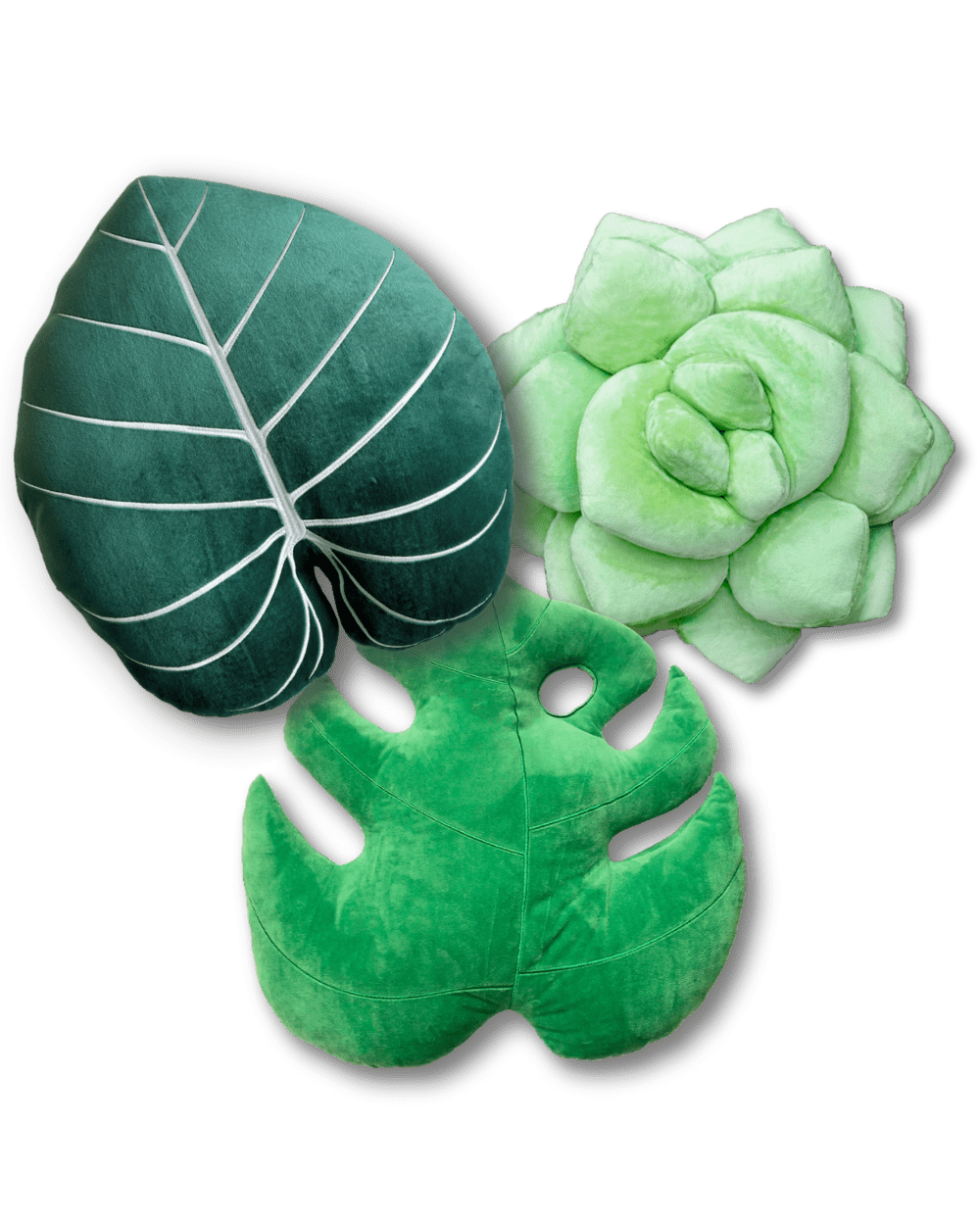 Mini Green Bundle - Green Philosophy Co.