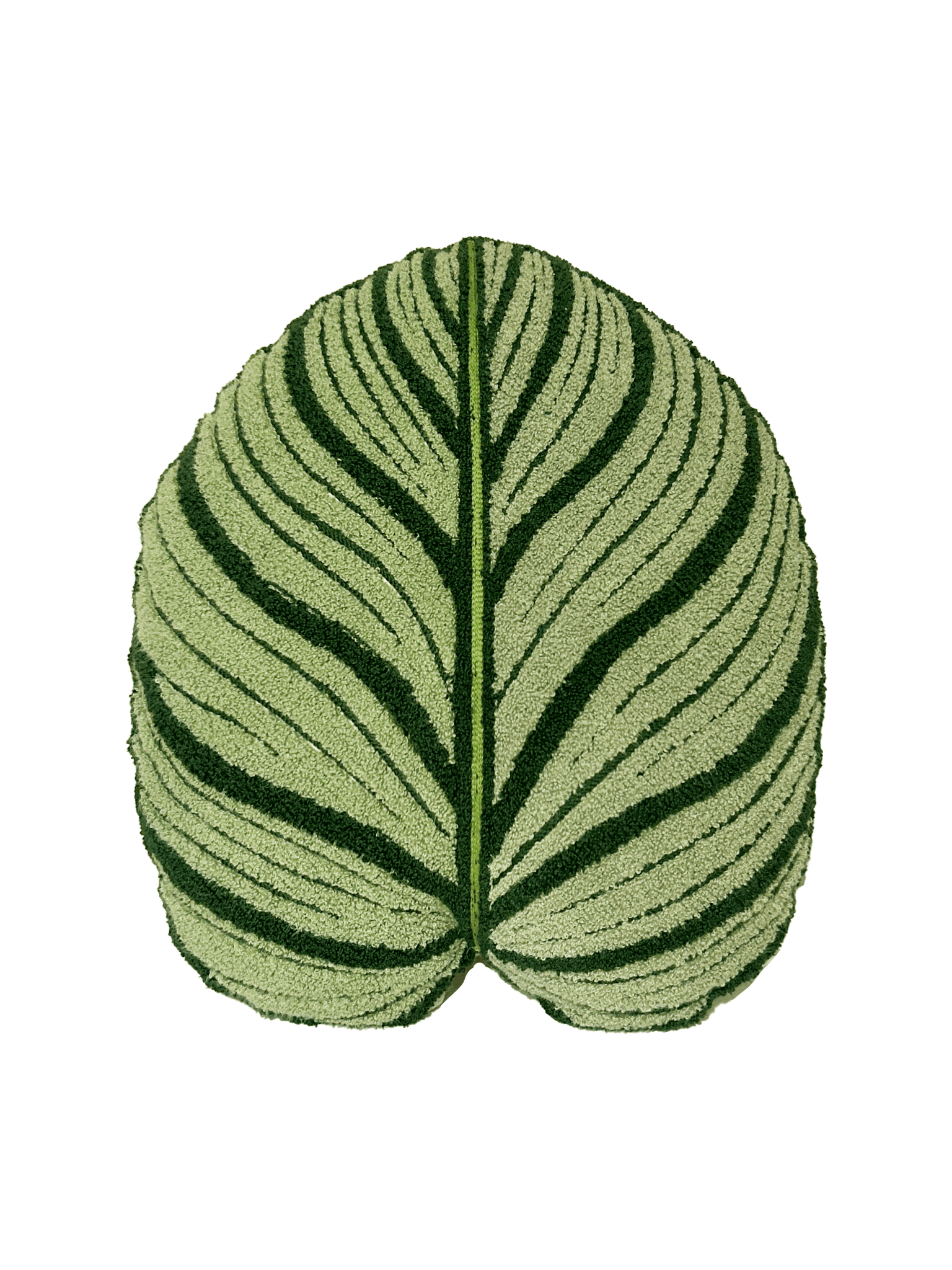 Tufted Calathea Orbifolia Leaf Pillow - Green Philosophy Co.