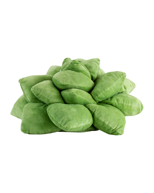 Lil' Pop Succulent®  - Olive Green