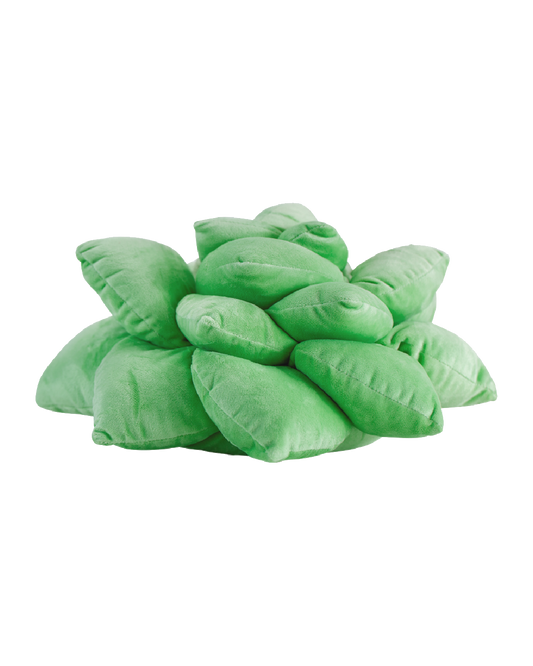 Lil' Pop Succulent®  - Sage Green