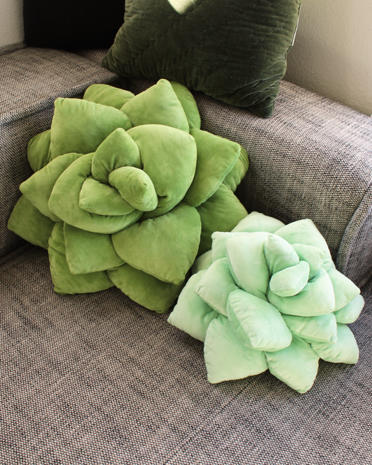 Succulent throw pillow new arrivals