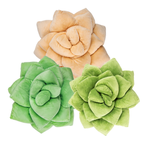 Lil' Pop Succulents Trio Bundle