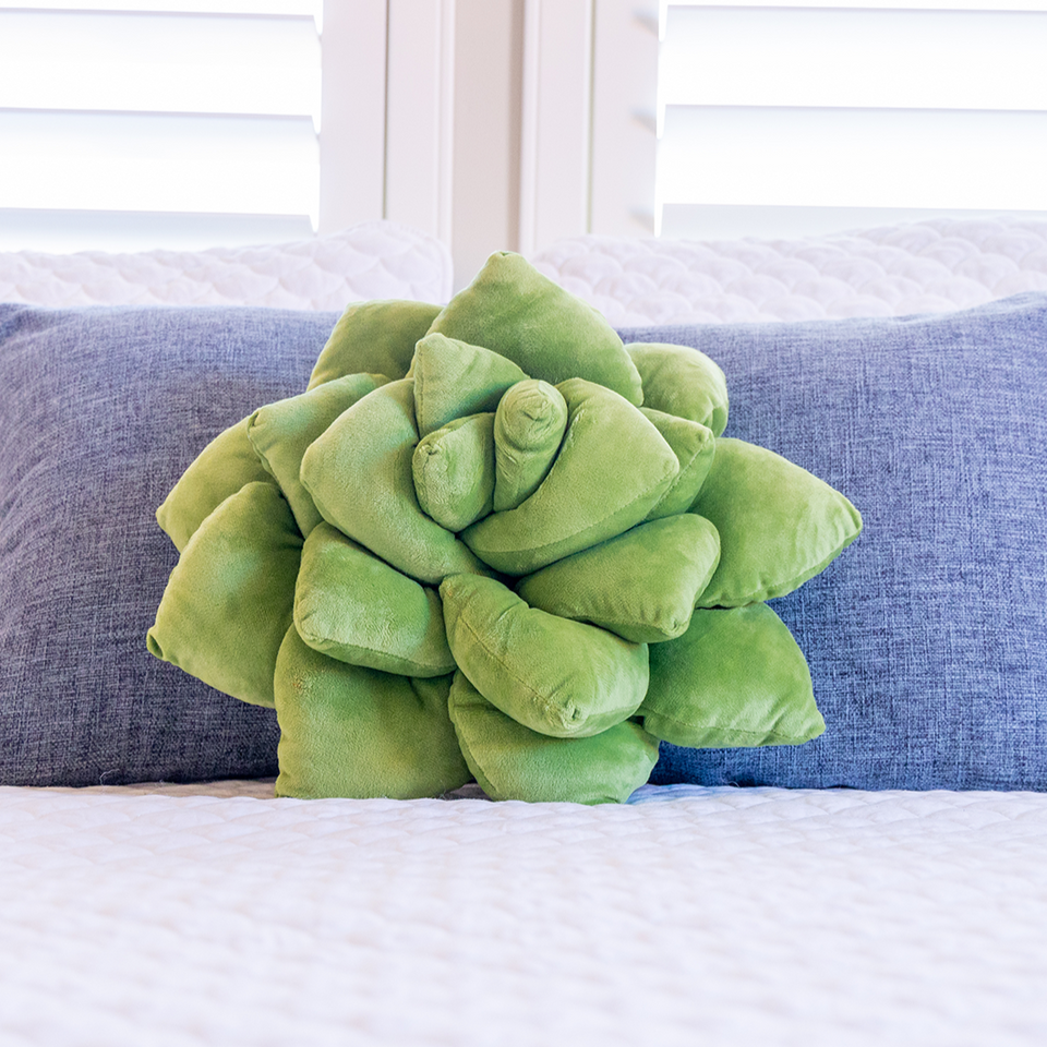 Succulent Plush Pillow - Olive Green - Green Philosophy Co. 