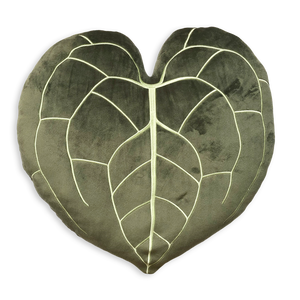 Anthurium Clarinervium - Khaki