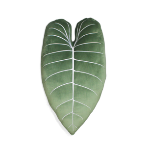 Philodendron Melanochrysum - Moody Green
