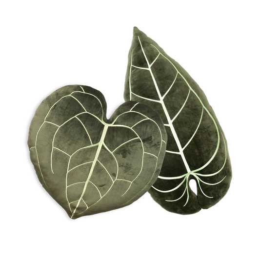 Anthurium Leaf Set