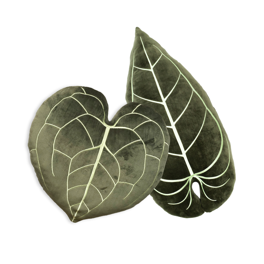 Anthurium Leaf Set