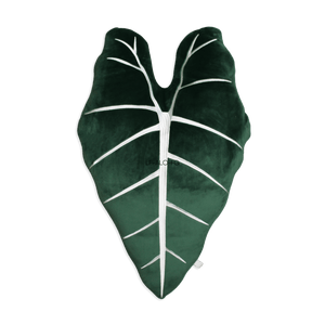 Alocasia Frydek - Forest Green - Green Philosophy Co.